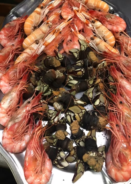 Restaurante Maluquer Quattro mariscada con percebes y langostinos en Valencia